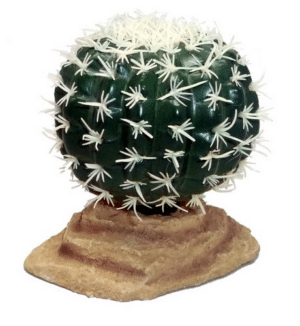 Barrel Cactus 9cm