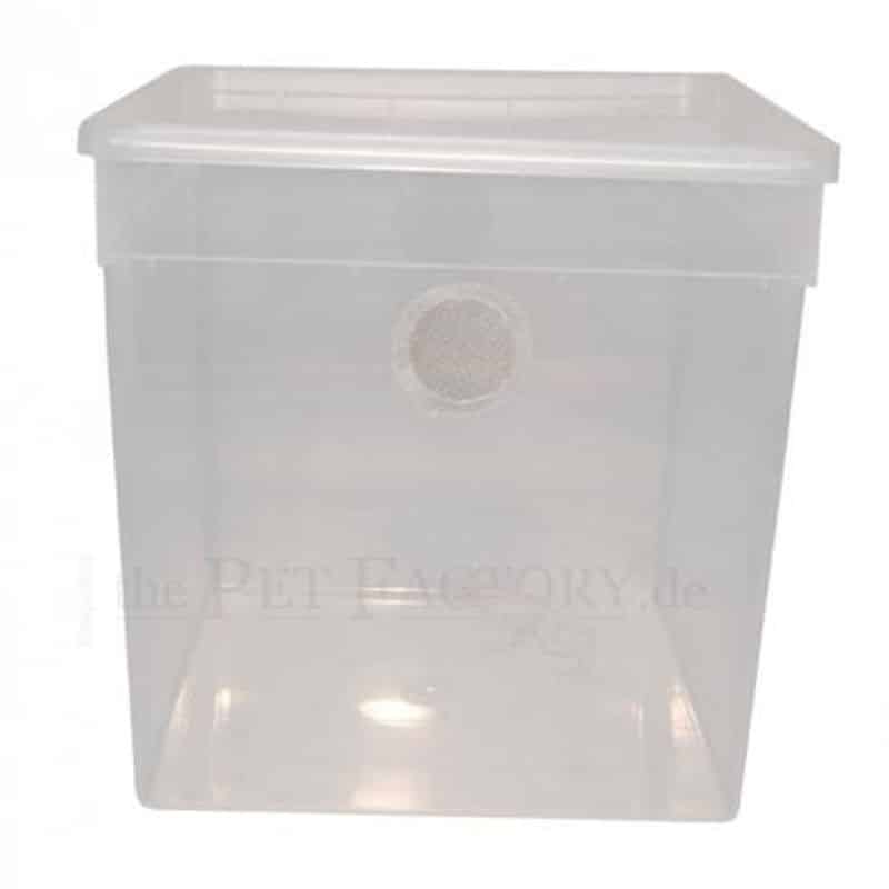 Braplast mit Lüftung