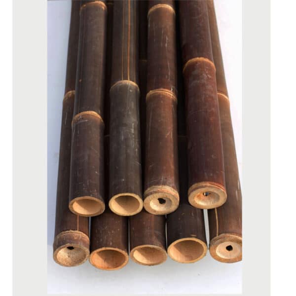 bambus-dunkel
