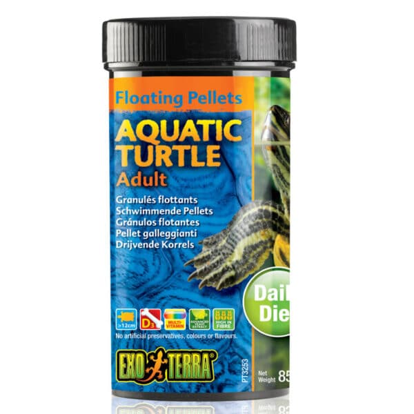 Aquatic Turtle Adult