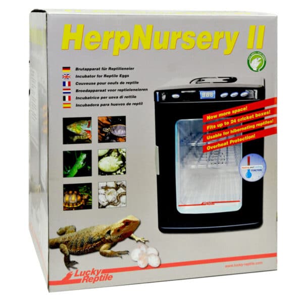 Herp Nursery 1