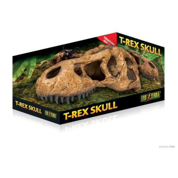 T Rex Skoll