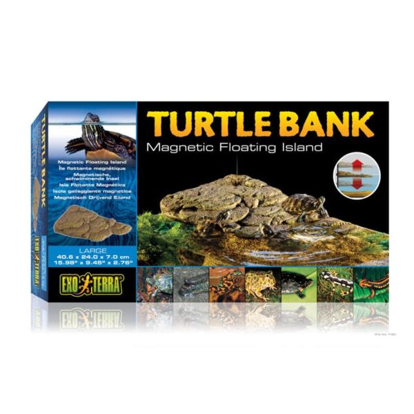 Turtle Bank 3