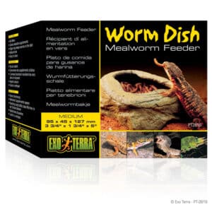 Worm Dish M