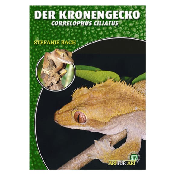 Der Kronencecko