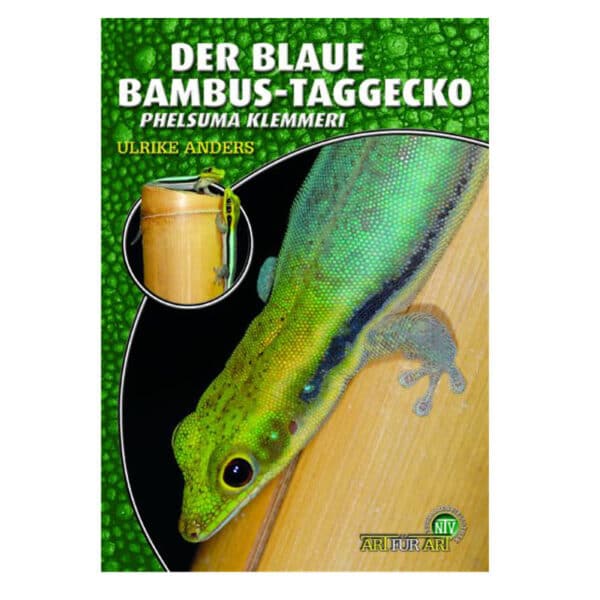 Der blaue Bambus-Taggecko (Phelsuma klemmeri)