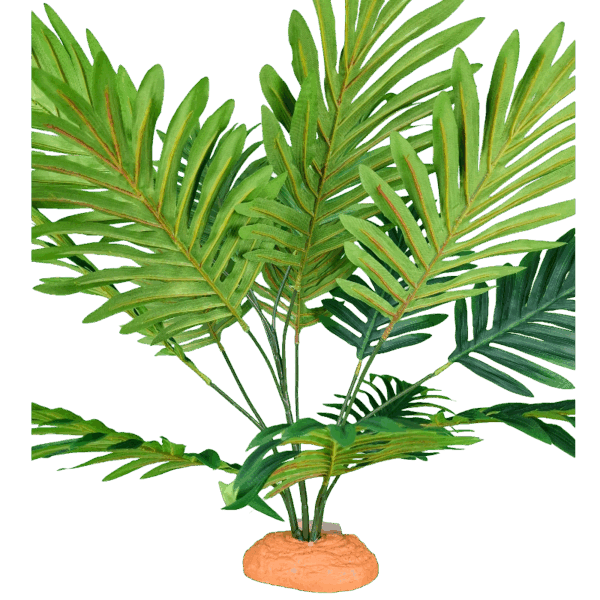 grüne Palme mit ausgebreiteten Blättern auf terrakottafarbenem Standfuss