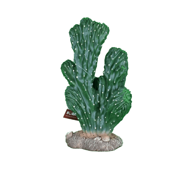 grüner Kaktus Victoria mit Sockel