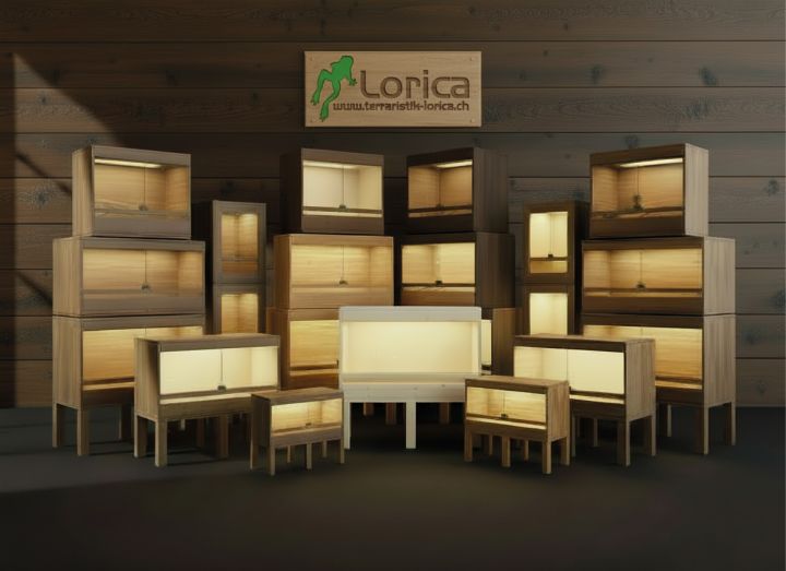 News 6 Holzterrarien in verschiedenen Grössen gestapelt im Halbkreis