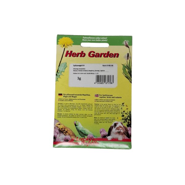 Spitzwegerich Samen in gelbem Beutel