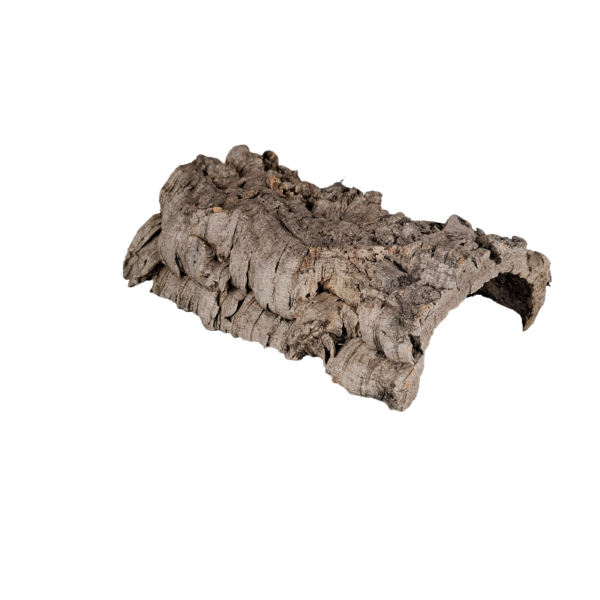 längliche Kork Höhle halbrund