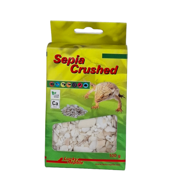 Sepia crushed in gelb-grüner Verpackung mit Sichtfenster