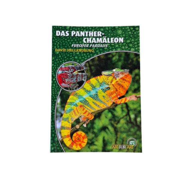 Buch Chamäleon von Art für Art