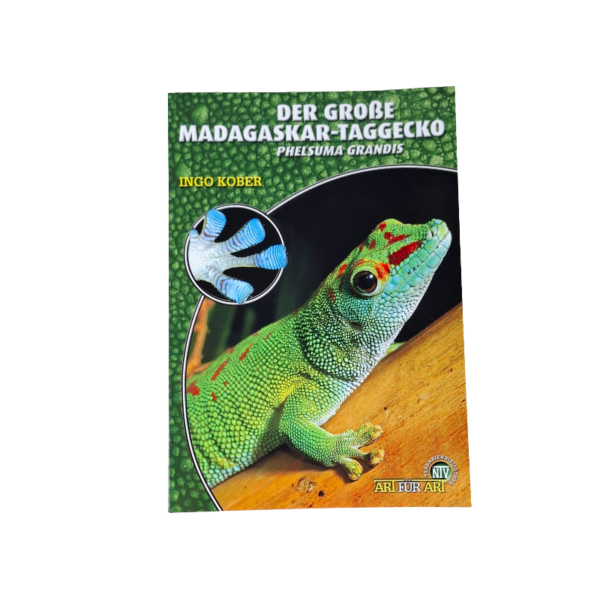 Buch der grosse Madagaskar-Taggecko von Art für Art