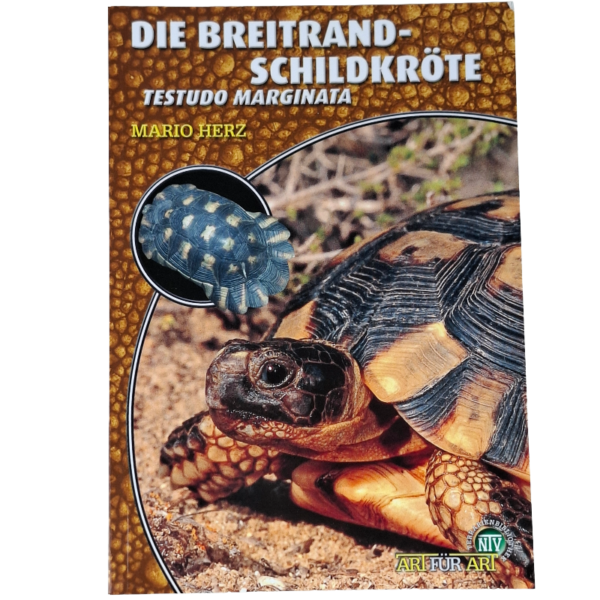Buch die Breitrandschildkröte von Art für Art