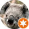Pia Bolliger Avatar
